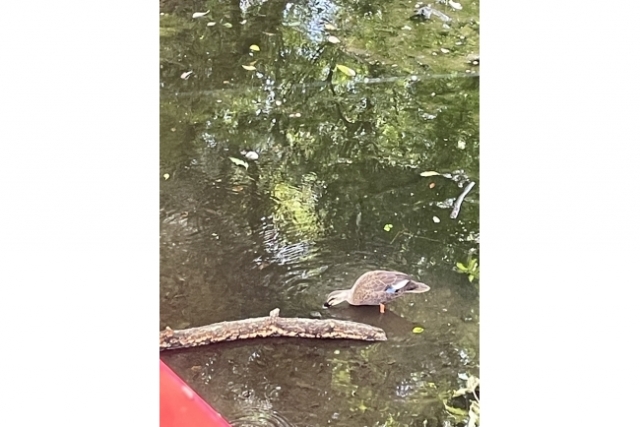 テニスの後に……